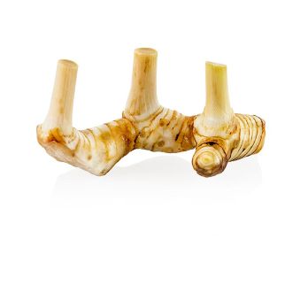 Galgant/ Laoswurzel, frisch, 500 g