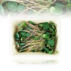 vollgepackt Microgreens KapuzinerGreens, dunkel, ganz junge Blätter / Keimlinge, 50 g