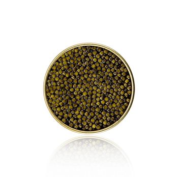 BOS FOOD Premium Selection - Kreuzung Amur x Kaluga Stör (schrenckii x dau), China, 10 g