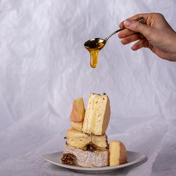 BOS FOOD Käseseminar, 6.10.25, 10-17 Uhr, Meerbusch, 1 St