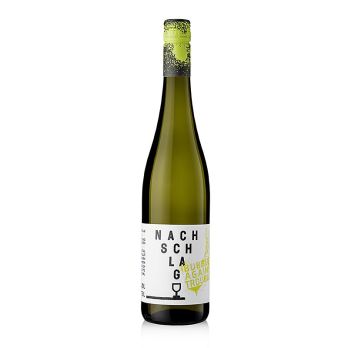 2024er Nachschlag! Bubbler Against Troubles Perlwein, trocken 11 % vol., Stahl, 750 ml