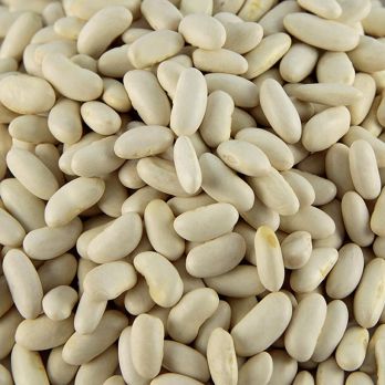 Bohnen, Cannellini, weiß und klein, getrocknet, 500 g