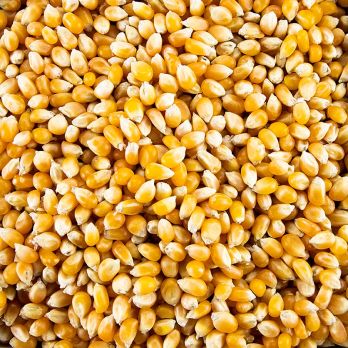 Popcorn Mais, BIO, 1 kg