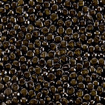 Desietra Osietra Kaviar (gueldenstaedtii), Aquakultur, ohne Konservierungsmittel, 125 g