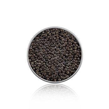 Desietra Beluga Kaviar Malossol vom Hausen (huso huso), Aquakultur Deutschland, 50 g