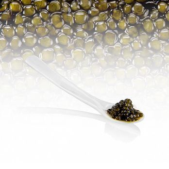 Selection Ossetra Kaviar (Acipenser gueldenstaedtii), 50 g