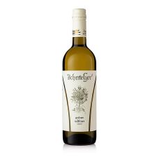 2020er Grüner Veltliner, unfiltriert, trocken, 11,5% vol., Georg Schmelzer, BIO, 750 ml