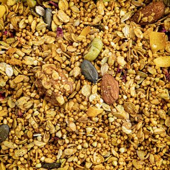 Guru Granola - FLOW Wisdom, 300 g