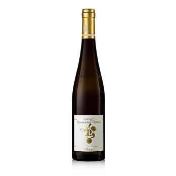 2022er Im Sonnenschein Riesling GG, trocken, 12,5 % vol., Rebholz, BIO, 750 ml