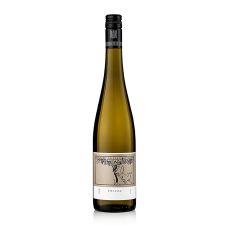 2023er Riesling QW, trocken, 12 % vol., F. Becker, 750 ml