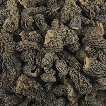Spitzmorchel-Köpfe, Specials, ab ø 3cm, 1 kg