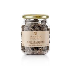 Spitzmorchel-Köpfe, Specials, ab ø 3cm, Plantin, 50 g
