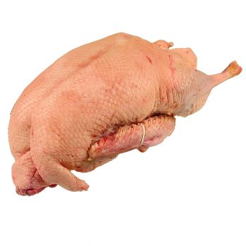 Frische Gillbachtaler Weidegänse, Gillbachtal (November/Dezember), ca.4,5 kg