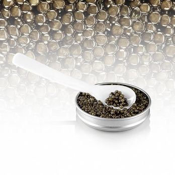 Desietra Osietra Kaviar (Acipenser gueldenstaedtii), Aquakultur Deutschland, 500 g
