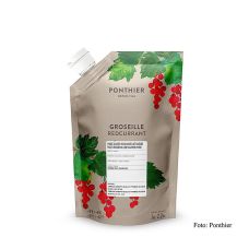Püree - Rote Johannisbeere, mit Zucker, 1 kg