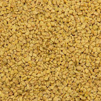 Bockshornkleesamen - vor Gebrauch rösten, Methi Seeds, 100 g