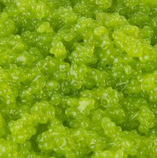 Cavi-Art® Algen-Kaviar, Wasabi-Geschmack, vegan, 500 g