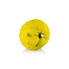 Yuzu - japanische Zitrusfrucht, ganz, frisch (von Oktober-Dezember), ca.120 g