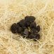 Winter-Edeltrüffel - tuber melanosporum, Abschnitte, Australien, Juni/August, per Gramm