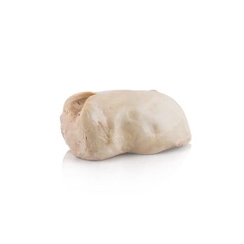 Gänsestopfleber, ganz, Osteuropa, Masse, TK, ca.900 g