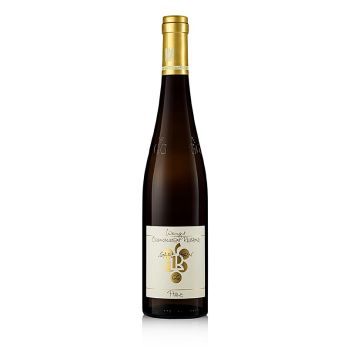 2020er Ganz Horn Riesling GG, trocken, 12,5 % vol., Rebholz, BIO, 750 ml
