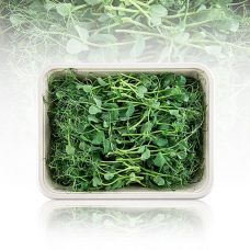 vollgepackt Microgreens Erbsen, ganz junge Blätter / Keimlinge, 100 g