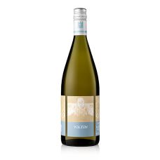 2019er Volten, trocken, 10% vol., Schätzel,, 1 l