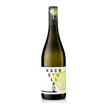 2024er Nachschlag! Bright Side of Life, trocken, 11 % vol., Stahl, 750 ml