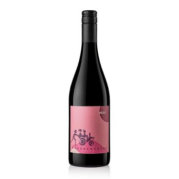 2023er Zweigelt, trocken, 12,5 % vol., Renner, BIO, 750 ml