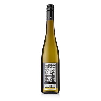2025 Am Berg, Grüner Veltliner QW, trocken, 12 % vol., Ott, BIO, 750 ml