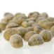 Maronen, geschält, Ponthier, TK, 1 kg