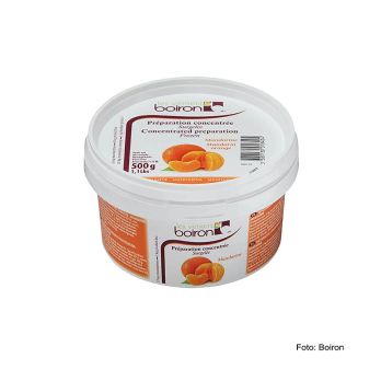 Konzentrat - Mandarinensaft, TK, 500 g
