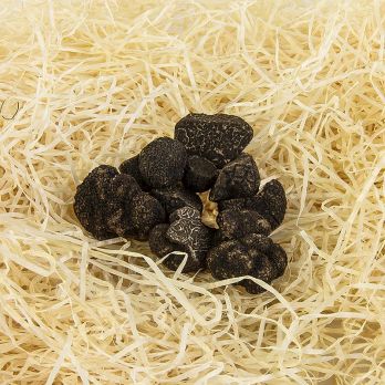 Winter-Edeltrüffel - tuber melanosporum, Abschnitte, Australien, Juni/August, per Gramm