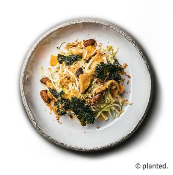 planted.chicken Natur, pflanzliches Huhn auf Erbsenbasis, vegan, TK , 2 kg