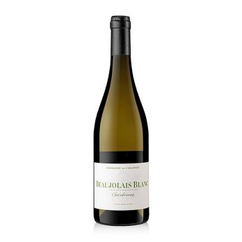 2023er Beaujolais blanc Chardonnay, trocken, 12,5% vol., Domaine de Colonat, 750 ml