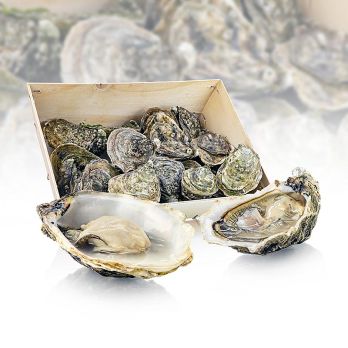 Frische Austern - Carlingford N3 (Crassostrea gigas) ca. 75g (N°3), 12 St