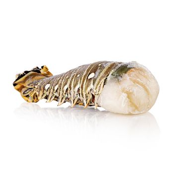 Langustenschwanz, roh, mit Schale, Gourmaitre, TK, 260 g