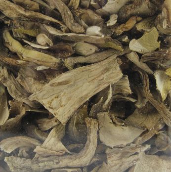 Steinpilze - Cèpes Extra, hell/Surchoix, Plantin, 500 g