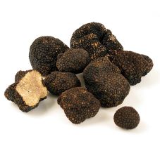 Sommertrüffel - tuber aestivum/uncinatum, Frankreich, Mai/November, per Gramm