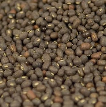 Linsen, schwarz, Urid-Dal/ Uridbohnen, ungeschält, ganz, 500 g