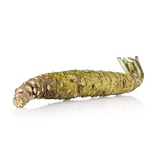 Wasabi, frisch, ganz, Japan, ca.120 g