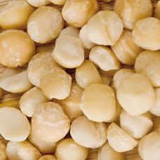 Macadamianüsse, ganz, geröstet und mit Salz, 1 kg