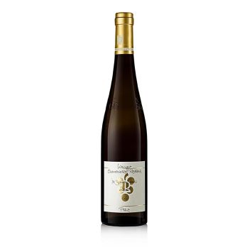 2020er Im Sonnenschein Riesling GG, trocken, 12,5 % vol., Rebholz, BIO, 750 ml