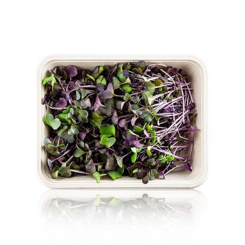 vollgepackt Microgreens Radieschen Rot, ganz junge Blätter / Keimlinge, 100 g