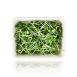 vollgepackt Microgreens Sonnenblume, ganz junge Blätter / Keimlinge, 100 g
