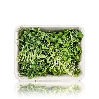 vollgepackt Microgreens MIX MiniGreenBox, 3 Sorten ganz junge Blätter / Keimlinge, 90 g, 3 x 30g