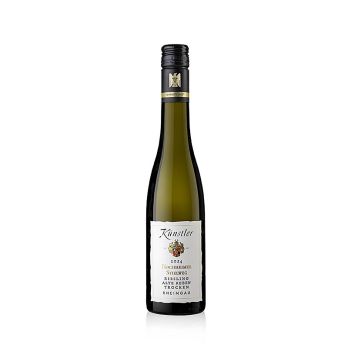 2024er Hochheimer Stielweg Riesling, Alte Reben, trocken, 13 % vol., Künstler, 375 ml