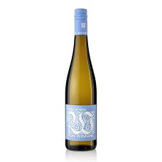2024er Win Win Riesling QW, trocken, Von Winning, 750 ml
