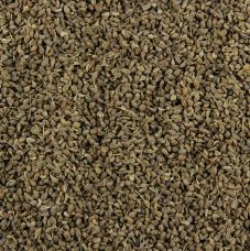 Anissamen, ganz, 1 kg