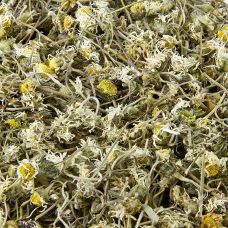 Gänseblümchen, getrocknet, 100 g